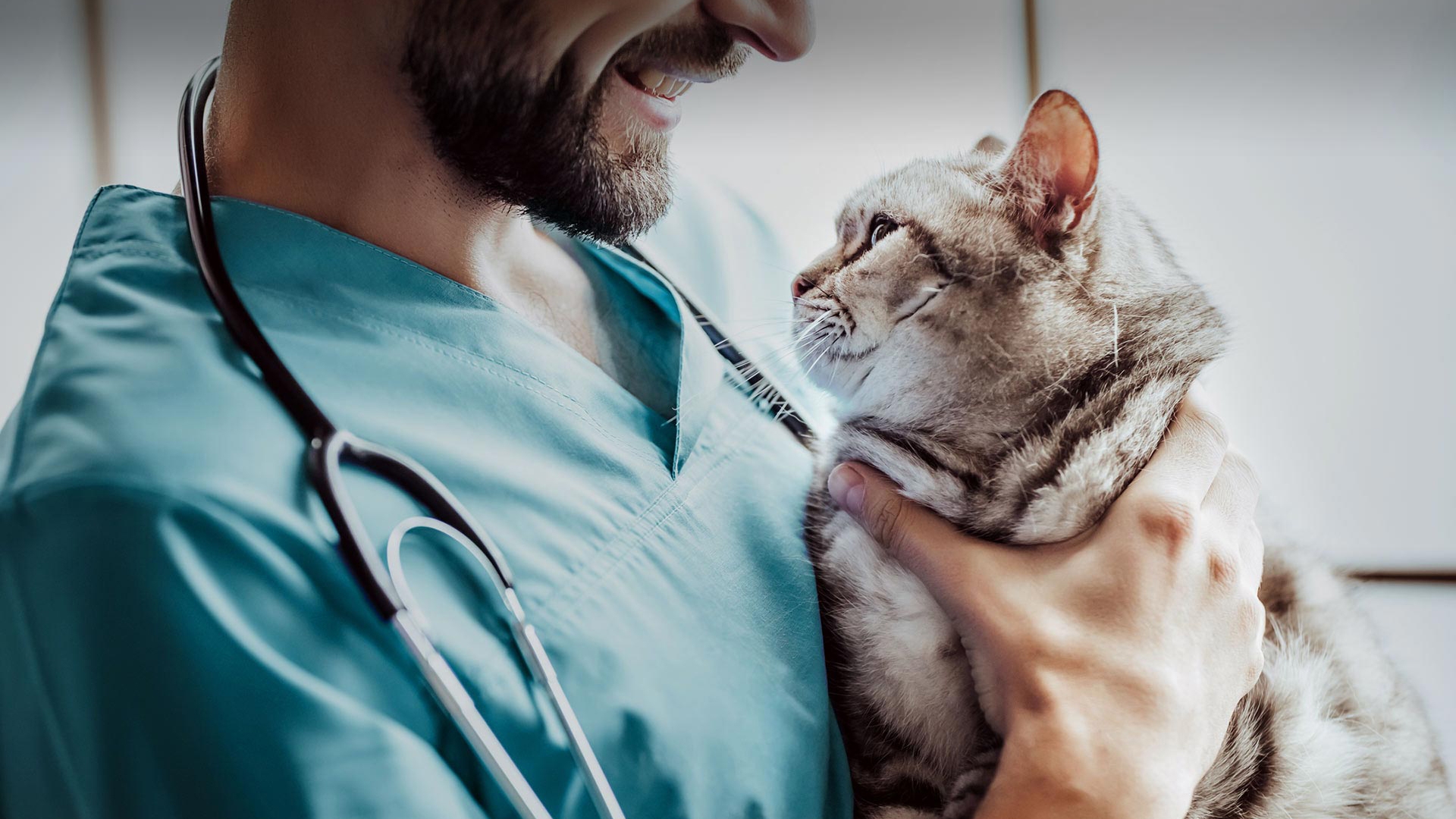 Gümüşpala Veteriner